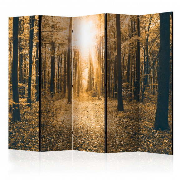 Paravan Magical Light Ii [Room Dividers] 225 cm x 172 cm