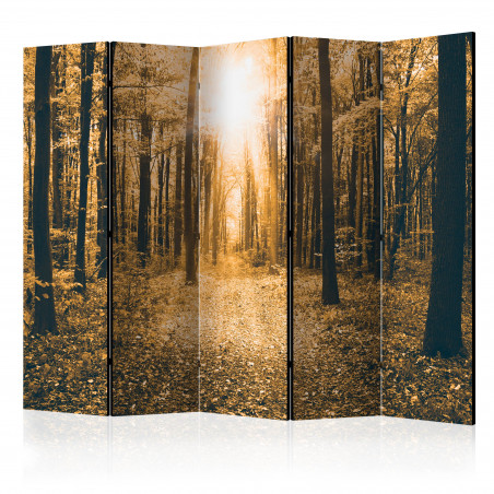 Paravan Magical Light Ii [Room Dividers] 225 cm x 172 cm-01