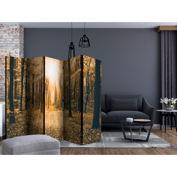 Paravan Magical Light Ii [Room Dividers] 225 cm x 172 cm Artgeist
