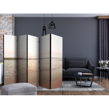 Paravan Magnificent Morning Ii [Room Dividers] 225 cm x 172 cm-01