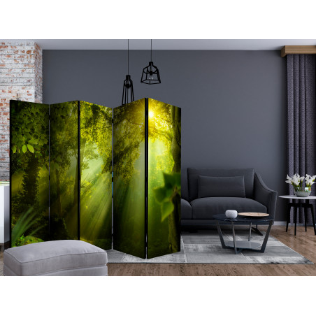 Paravan In A Secret Forest Ii Ii [Room Dividers] 225 cm x 172 cm-01