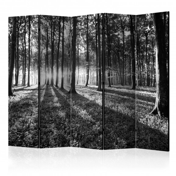 Paravan Grey Wilderness Ii [Room Dividers] 225 cm x 172 cm