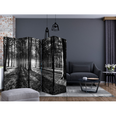 Paravan Grey Wilderness Ii [Room Dividers] 225 cm x 172 cm-01