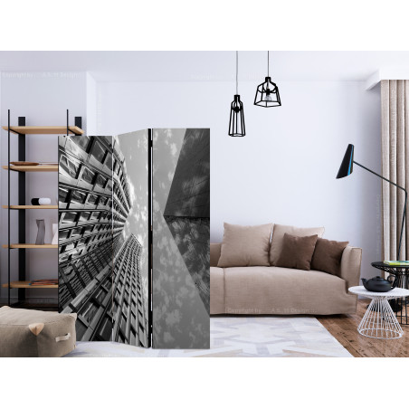 Paravan Reach For The Sky [Room Dividers] 135 cm x 172 cm-01