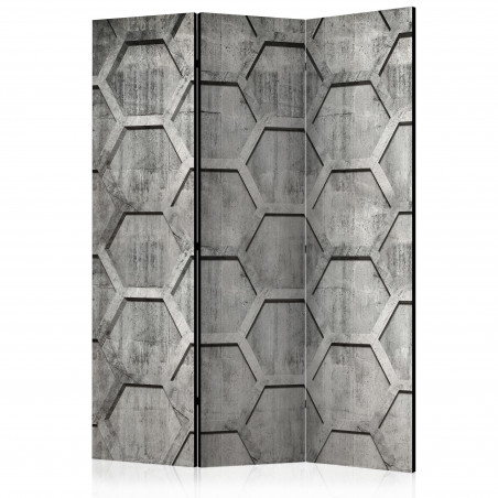 Paravan Platinum Cubes [Room Dividers] 135 cm x 172 cm-01