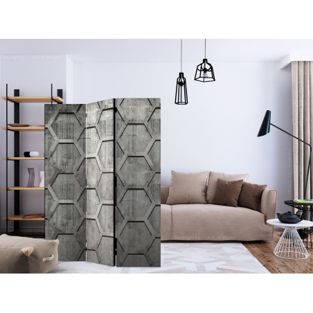 Paravan Platinum Cubes [Room Dividers] 135 cm x 172 cm-01