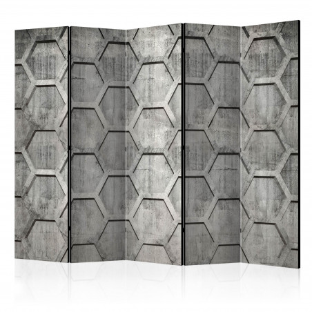 Paravan Platinum Cubes Ii [Room Dividers] 225 cm x 172 cm-01