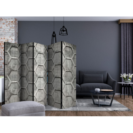 Paravan Platinum Cubes Ii [Room Dividers] 225 cm x 172 cm-01