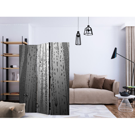 Paravan Summer Drizzle [Room Dividers] 135 cm x 172 cm-01