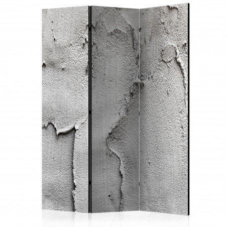 Paravan Concrete Nothingness [Room Dividers] 135 cm x 172 cm-01