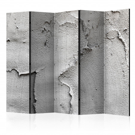 Paravan Concrete Nothingness Ii [Room Dividers] 225 cm x 172 cm-01