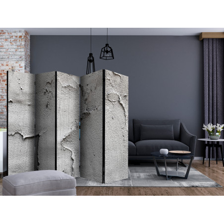 Paravan Concrete Nothingness Ii [Room Dividers] 225 cm x 172 cm-01