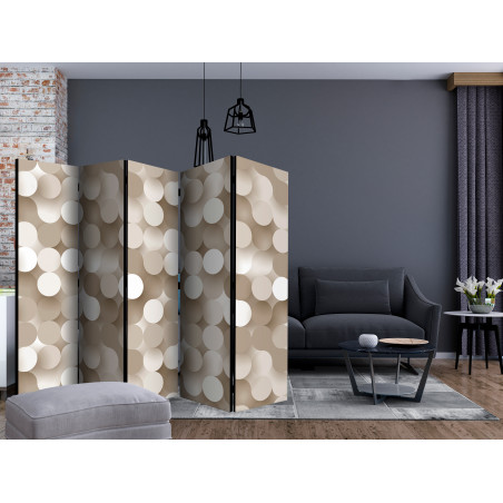 Paravan Gold Net Ii [Room Dividers] 225 cm x 172 cm-01