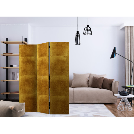 Paravan Golden Cage [Room Dividers] 135 cm x 172 cm-01