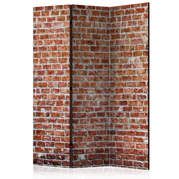 Paravan Red Rock [Room Dividers] 135 cm x 172 cm