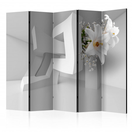 Paravan Twisted Illusion Ii [Room Dividers] 225 cm x 172 cm-01