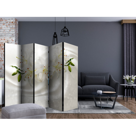 Paravan Romantic Glow Ii [Room Dividers] 225 cm x 172 cm-01