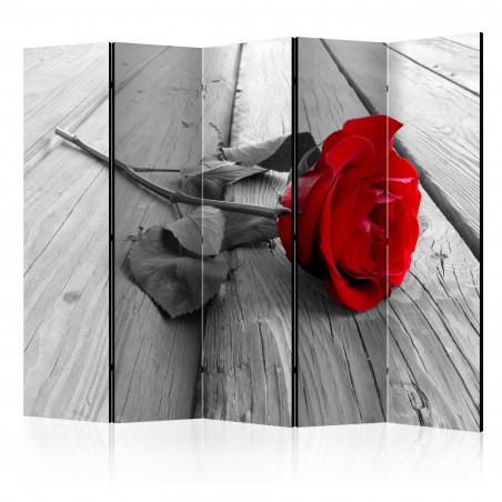 Paravan Abandoned Rose Ii [Room Dividers] 225 cm x 172 cm-01
