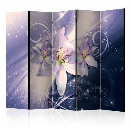 Paravan Wintry Galaxy Ii [Room Dividers] 225 cm x 172 cm-01