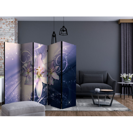 Paravan Wintry Galaxy Ii [Room Dividers] 225 cm x 172 cm-01