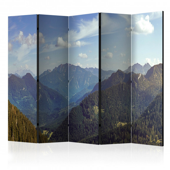 Paravan Mountains’ Magic Ii [Room Dividers] 225 cm x 172 cm