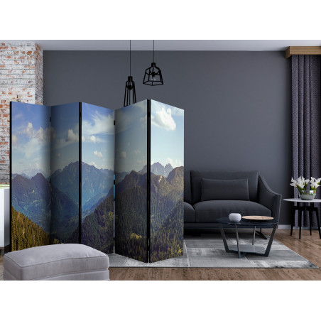 Paravan Mountains’ Magic Ii [Room Dividers] 225 cm x 172 cm-01