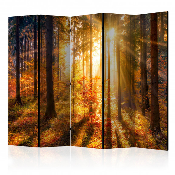 Paravan Autumn Awakening Ii [Room Dividers] 225 cm x 172 cm