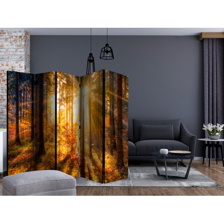 Paravan Autumn Awakening Ii [Room Dividers] 225 cm x 172 cm-01