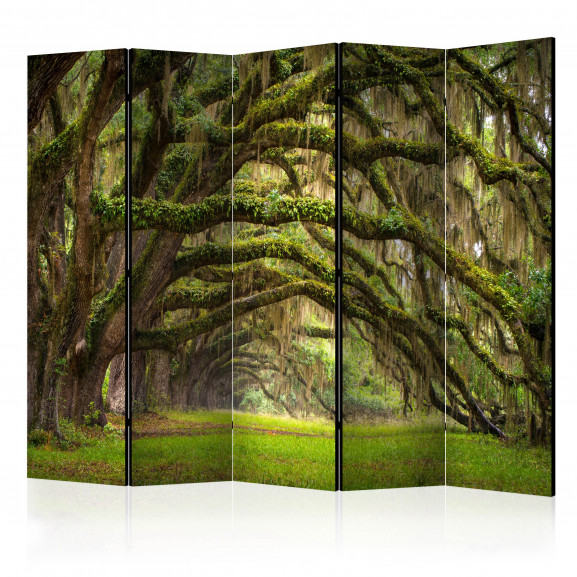 Paravan Tree Embrace Ii [Room Dividers] 225 cm x 172 cm