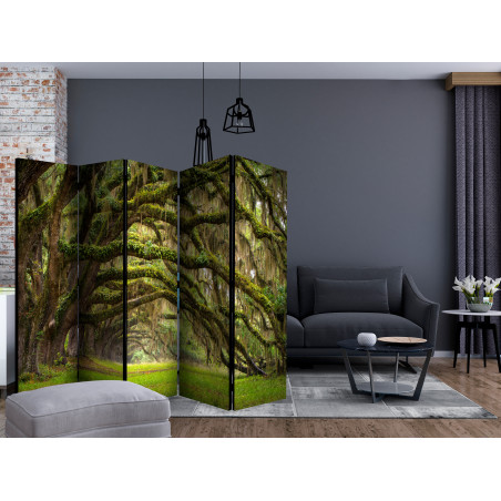 Paravan Tree Embrace Ii [Room Dividers] 225 cm x 172 cm-01
