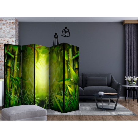 Paravan Forest Fairy Ii [Room Dividers] 225 cm x 172 cm-01