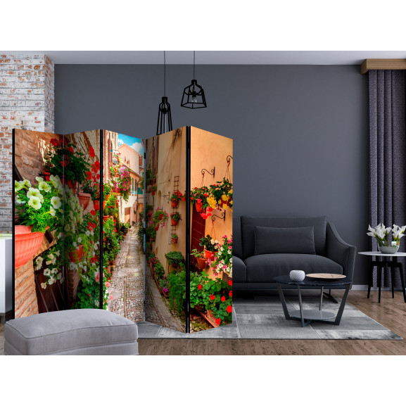 Paravan Alley In Umbria Ii [Room Dividers] 225 cm x 172 cm Artgeist