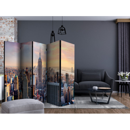 Paravan Sunny Metropolis Ii [Room Dividers] 225 cm x 172 cm-01