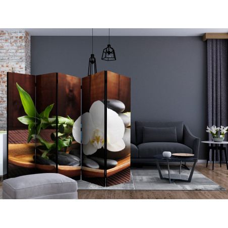 Paravan Temple Zen Ii [Room Dividers] 225 cm x 172 cm-01