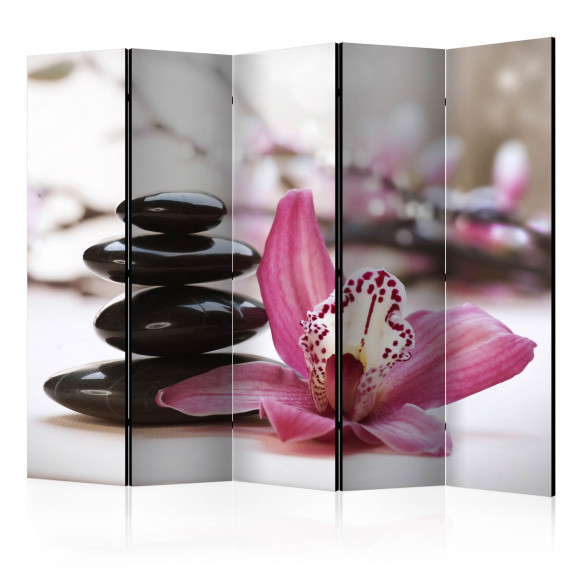 Paravan Relaxation And Wellness Ii [Room Dividers] 225 cm x 172 cm