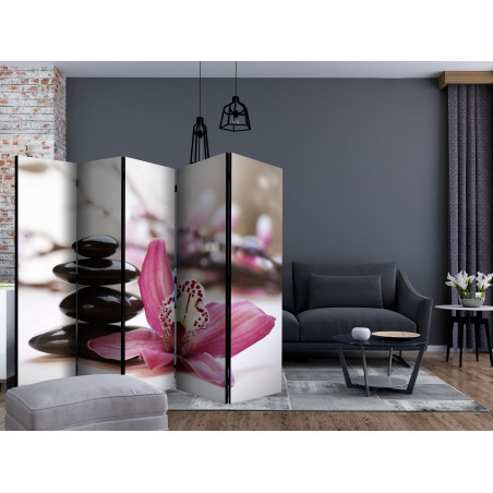 Paravan Relaxation And Wellness Ii [Room Dividers] 225 cm x 172 cm-01