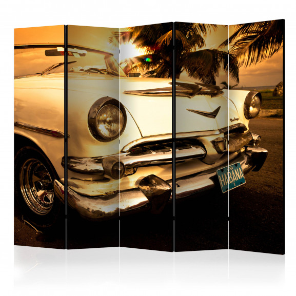 Paravan Viva Havana! Ii [Room Dividers] 225 cm x 172 cm