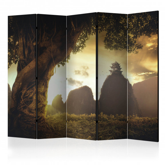 Paravan Mysterious China Ii [Room Dividers] 225 cm x 172 cm