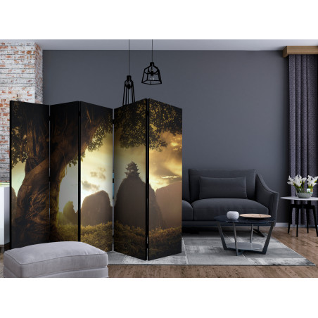 Paravan Mysterious China Ii [Room Dividers] 225 cm x 172 cm-01