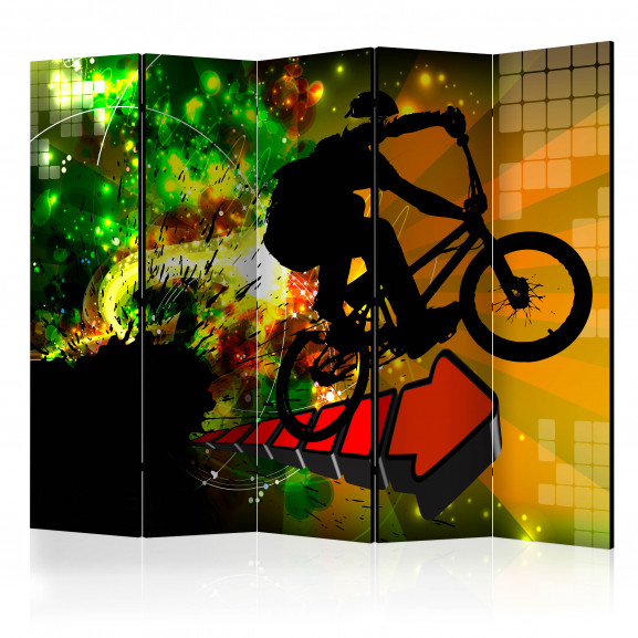 Paravan Bicycle Tricks Ii [Room Dividers] 225 cm x 172 cm