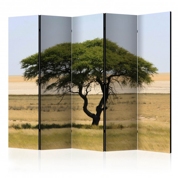 Paravan Etosha National Park, Namibia Ii [Room Dividers] 225 cm x 172 cm