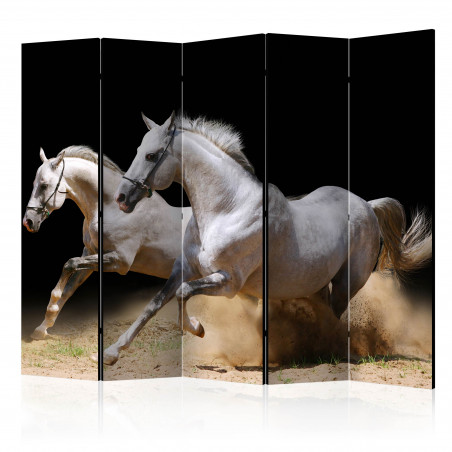 Paravan Galloping Horses On The Sand Ii [Room Dividers] 225 cm x 172 cm-01