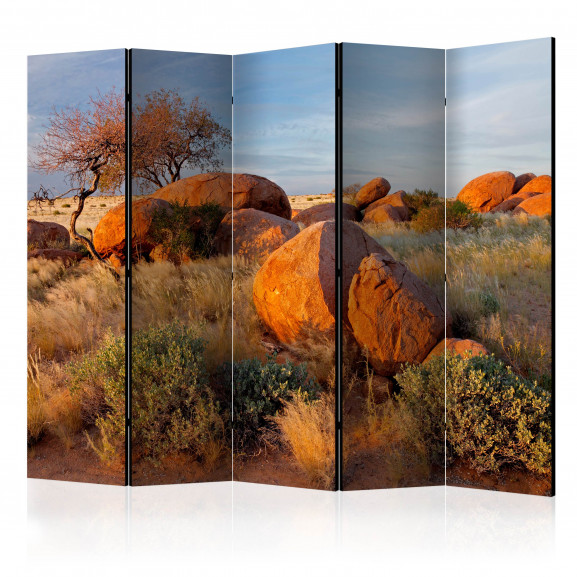 Paravan African Landscape, Namibia Ii [Room Dividers] 225 cm x 172 cm