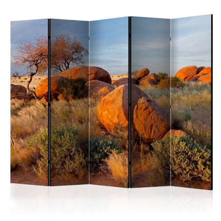 Paravan African Landscape, Namibia Ii [Room Dividers] 225 cm x 172 cm-01