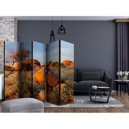 Paravan African Landscape, Namibia Ii [Room Dividers] 225 cm x 172 cm-01