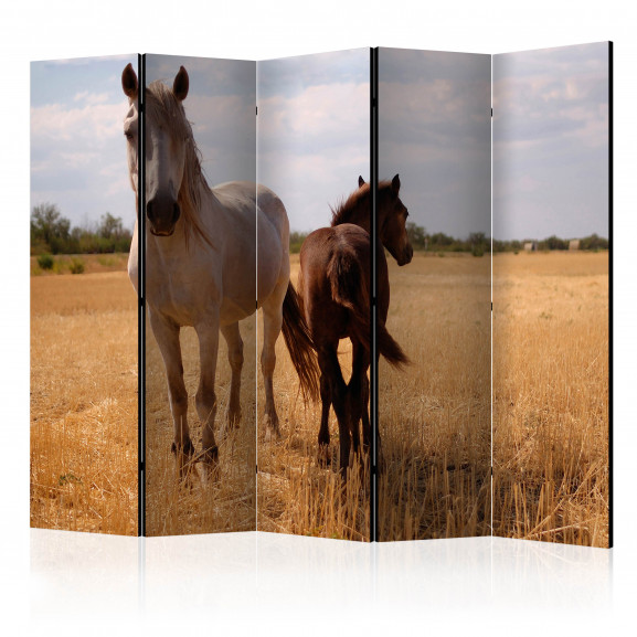 Paravan Horse And Foal Ii [Room Dividers] 225 cm x 172 cm