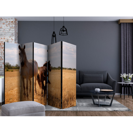 Paravan Horse And Foal Ii [Room Dividers] 225 cm x 172 cm-01