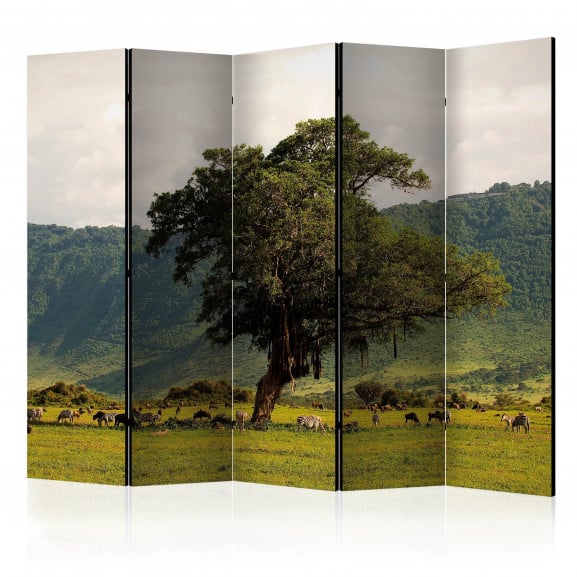 Paravan In A Crater Of Ngoro Ngoro Ii [Room Dividers] 225 cm x 172 cm