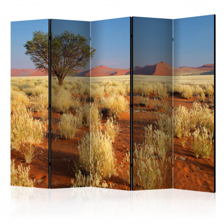 Paravan Desert Landscape, Namibia Ii [Room Dividers] 225 cm x 172 cm-01