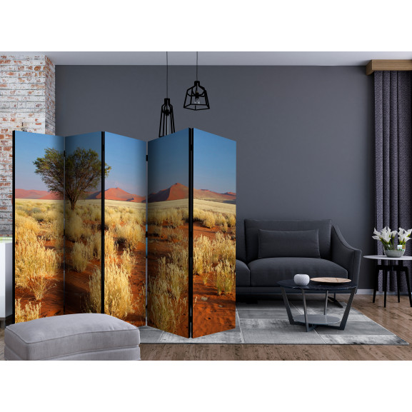 Paravan Desert Landscape, Namibia Ii [Room Dividers] 225 cm x 172 cm Artgeist